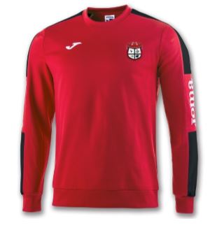 Lincoln Park Sweatshirt - ITA Sports Shop